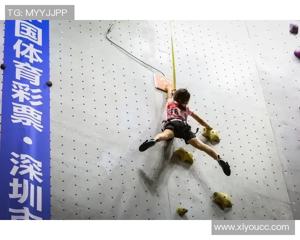 西安攀岩队荣获全国攀岩比赛经验排行榜第三名的辉煌成就实时数据