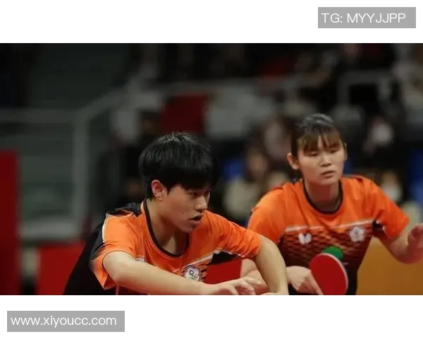 实时新闻深圳乒乓球队配合策略分析与团队协作提升探讨